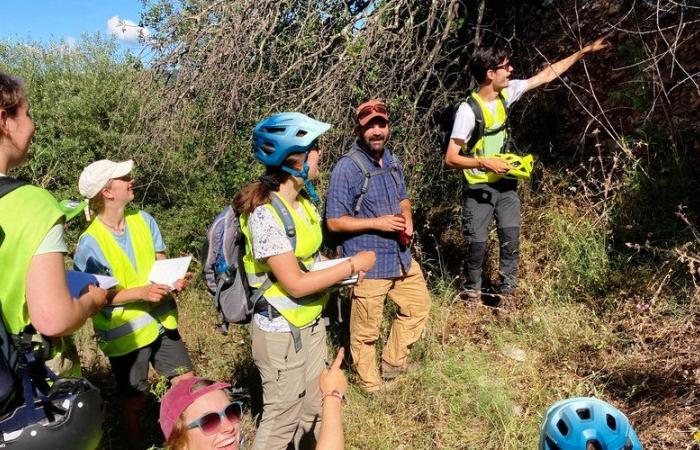 Cuando 120 estudiantes holandeses excavan en el corazón de Hérault para estudiar geociencias