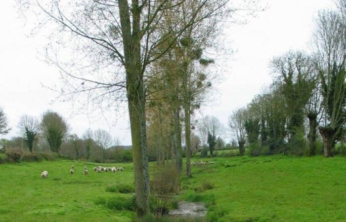 El exceso de lluvias en mayo genera un recurso hídrico excepcional en Deux-Sèvres