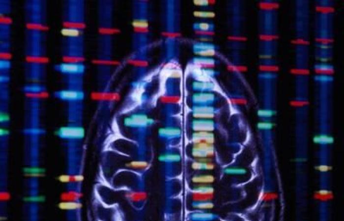 ¿Se puede transmitir el trauma a través de los genes?