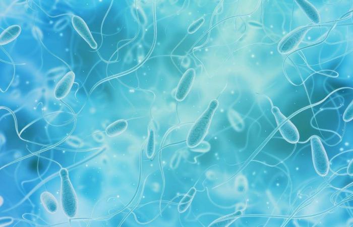 Microplásticos con diversos efectos descubiertos en el esperma humano