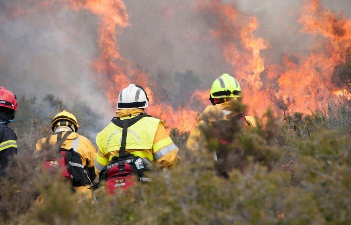 Incendios forestales: el departamento de Loiret “puede estar en riesgo” durante el calor extremo