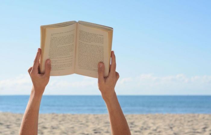 Para leer este verano 2024: los 10 libros recomendados por la academia Goncourt