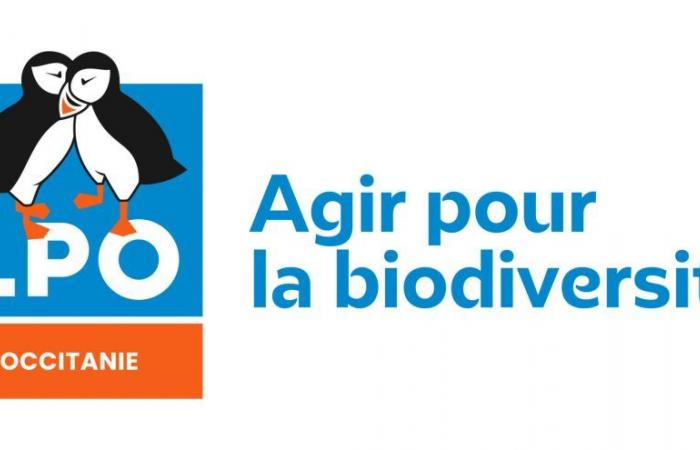 El Grupo Ornitológico de Gersois se convierte en la Delegación de Gers de la LPO Occitania – Le Petit Journal