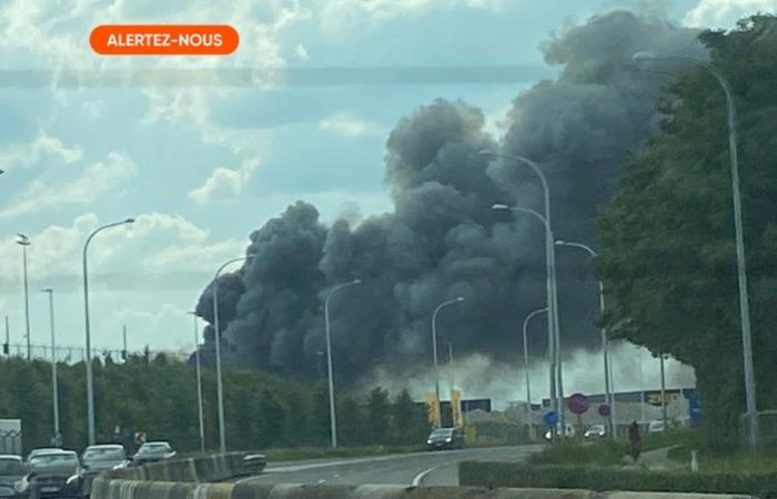 Incendio en un almacén del aeropuerto de Zaventem: los bomberos lucharon toda la noche pero el incendio fue extinguido