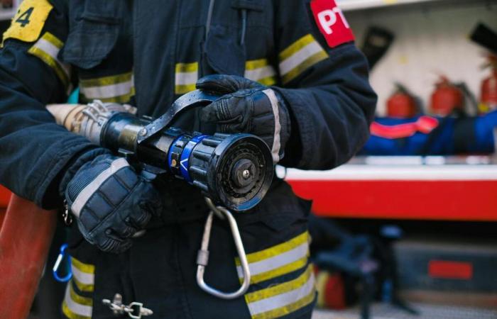 Gers: los bomberos enviados urgentemente a buscar pechuga de pato