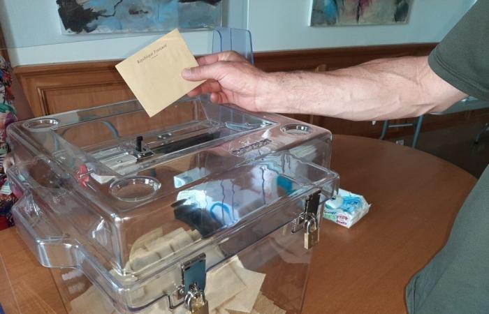 Elecciones legislativas 2024: los primeros candidatos para las elecciones en la tercera circunscripción de Aude