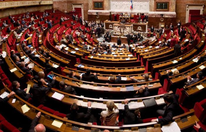 Elecciones legislativas 2024: descubra los candidatos declarados en Meurthe-et-Moselle