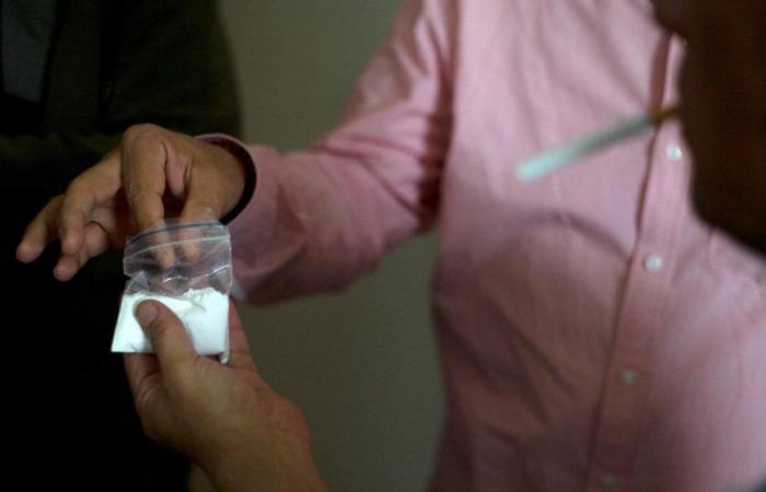 Tráfico de cocaína en las Landas: siete personas detenidas