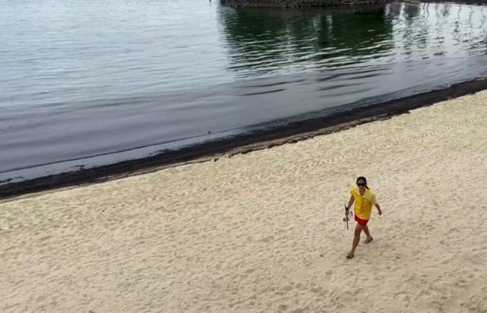 VIDEO. El agua turquesa se ha vuelto negra en playas muy turísticas de Singapur
