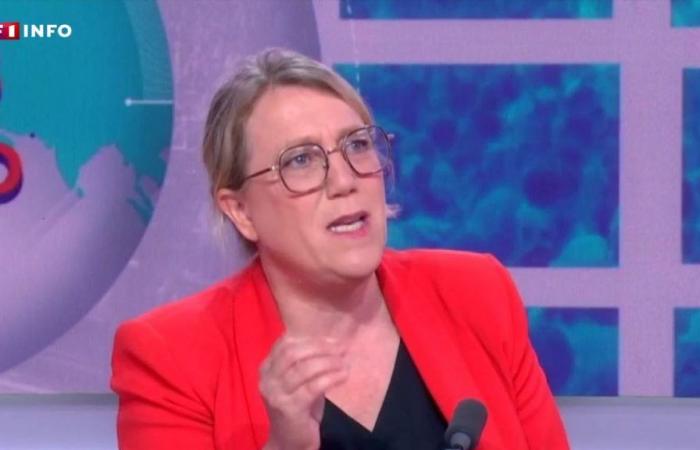 EN VIVO – Elecciones legislativas: “Jean-Luc Mélenchon debe dejar de dañar la política”, dice Danielle Simonnet en LCI