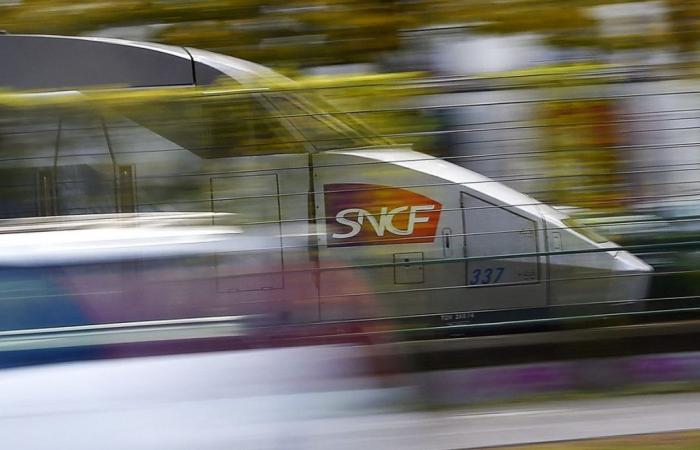 Francia: SNCF promete un 15% más de plazas de TGV en 10 años