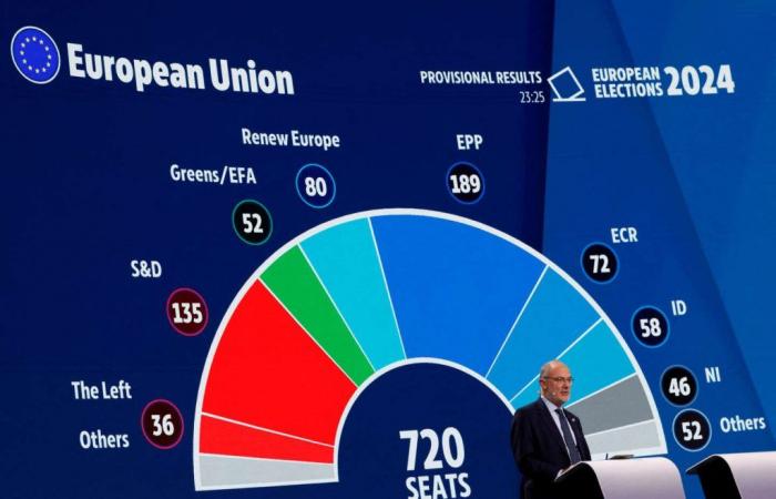 “En el Parlamento Europeo, la extrema derecha no llegará al poder aunque se produzca un acercamiento con ciertos partidos conservadores de derecha”