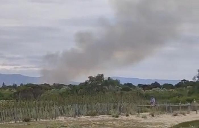 Gran incendio cerca de Perpiñán: varias hectáreas quemadas junto a un camping