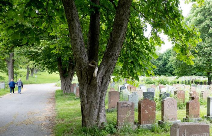 Cementerio de Notre-Dame-des-Neiges | Más de dos años para enterrar a sus seres queridos