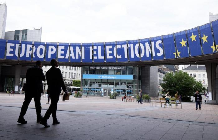 Elecciones europeas: ¿el declive del ideal europeo?