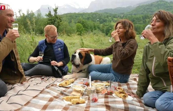 “Quatre à table”: un menú gourmet para un picnic en la montaña