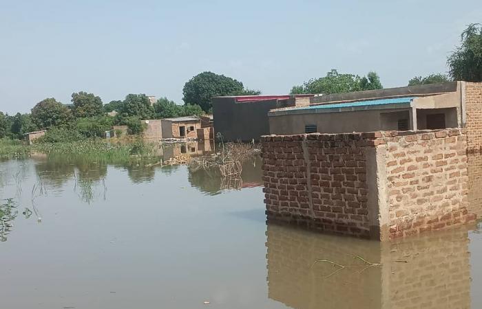 Lucha contra las inundaciones: un proyecto francés de apoyo al municipio de N’Djamena está en marcha