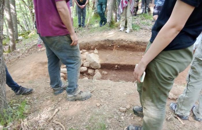 Jornadas de arqueología: descubra el Castrum de Lagarde, este pueblo fortificado de 3000 años de antigüedad en los Altos Pirineos