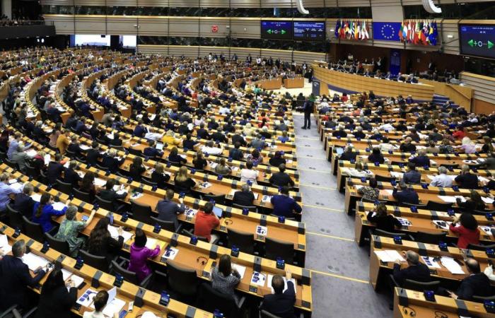 En el Parlamento Europeo, la búsqueda de eurodiputados continúa