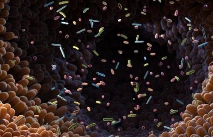 ¿Cuál es el papel de la microbiota en el desarrollo de determinadas enfermedades neurodegenerativas?
