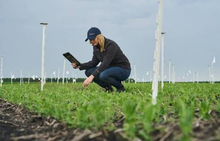 La IA puede hacer que la agricultura sea más eficiente, dicen los expertos