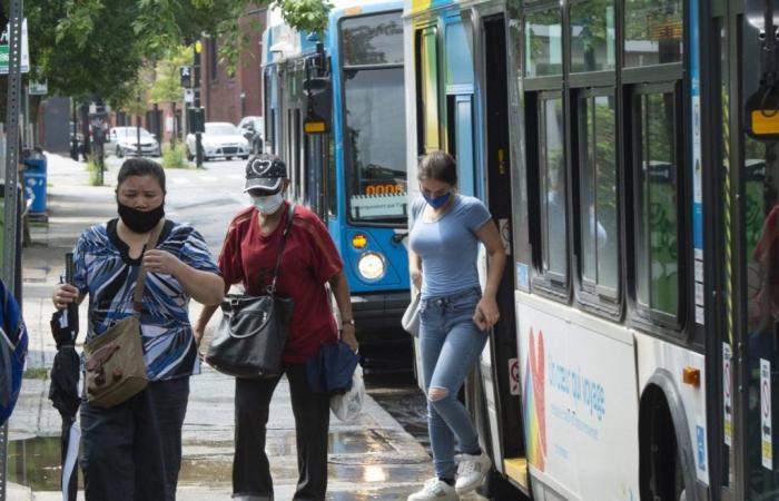 Red de autobuses en Montreal: la serpiente se muerde la cola, según un estudio de McGill