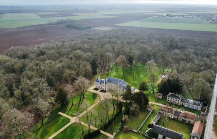 Essonne: este elegante castillo de los siglos XVIII y XIX está en venta