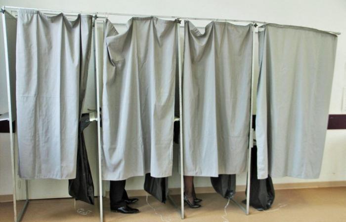Elecciones legislativas 2024: ¿quiénes son los 21 candidatos al departamento de Orne?