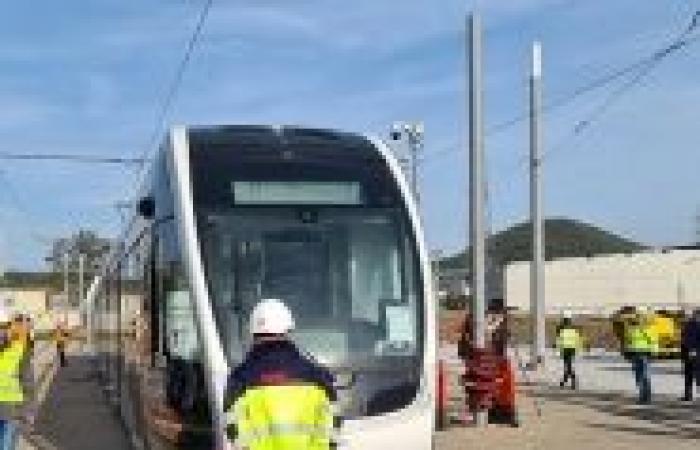 El tranvía de Lieja: los retos revelados por el responsable de comunicación del TEC, Daniel Wathelet: “Un gran trabajo”