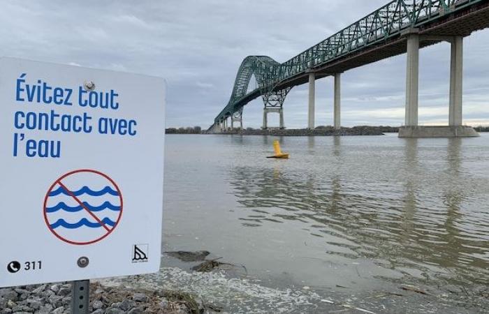 77 municipios de Quebec vierten sus aguas residuales a la naturaleza