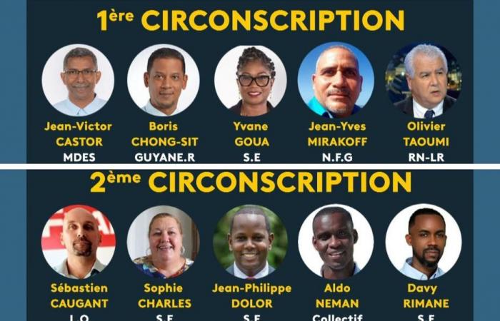 Elecciones legislativas de 2024: Paridad en Guyana, cinco candidatos en cada circunscripción