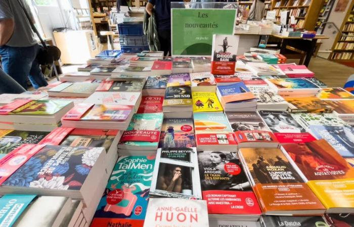 Aumento de los costes, estancamiento del mercado… Muchas librerías amenazadas de quiebra – Libération