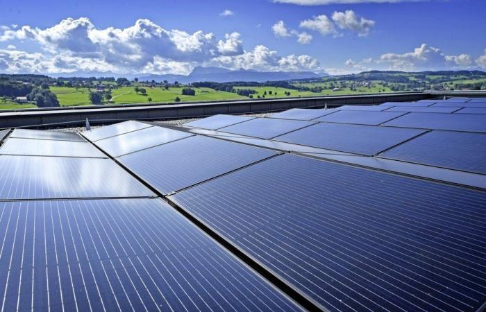 Fotovoltaica: los pequeños productores protegidos de los precios negativos