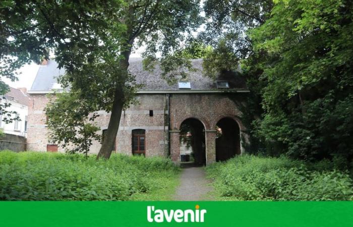 El parque Lamir pronto se abrirá al público: los ciudadanos están preocupados por la desaparición de la biodiversidad, la ciudad de Mons intenta tranquilizar