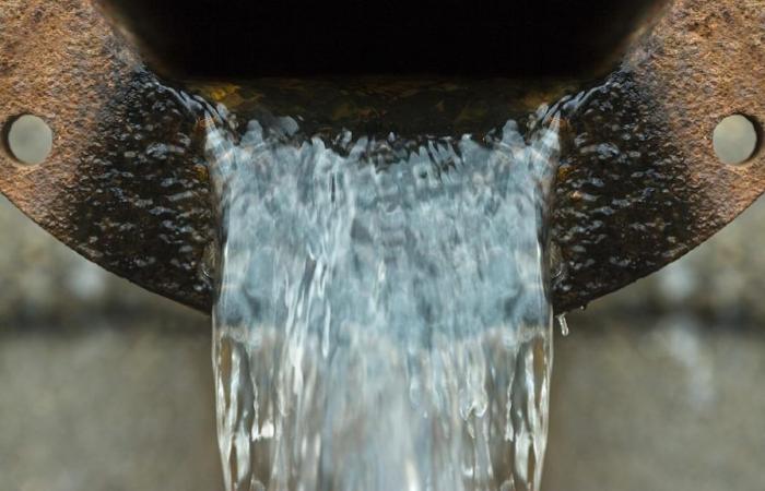 77 municipios de Quebec vierten sus aguas residuales a la naturaleza