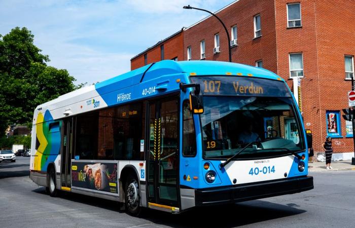 Según un estudio de McGill | Se necesitan más inversiones en la red de autobuses para recuperar el número de pasajeros antes de la pandemia