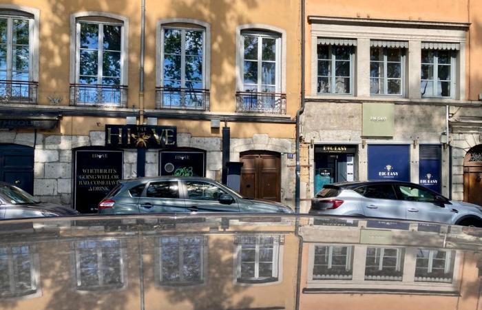 Dos hombres heridos por disparos en Lyon, el presunto autor detenido