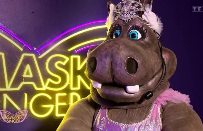 Mask Singer: ¿las estrellas tienen voz y voto en la elección del vestuario?