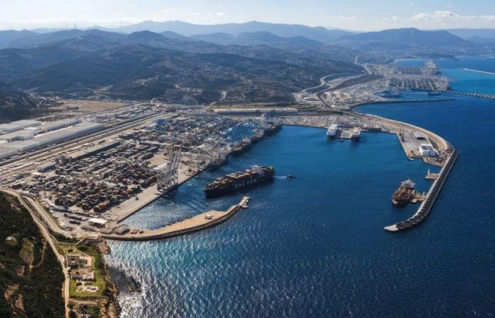 Tráfico marítimo: la insolente buena salud del puerto de Tánger Med