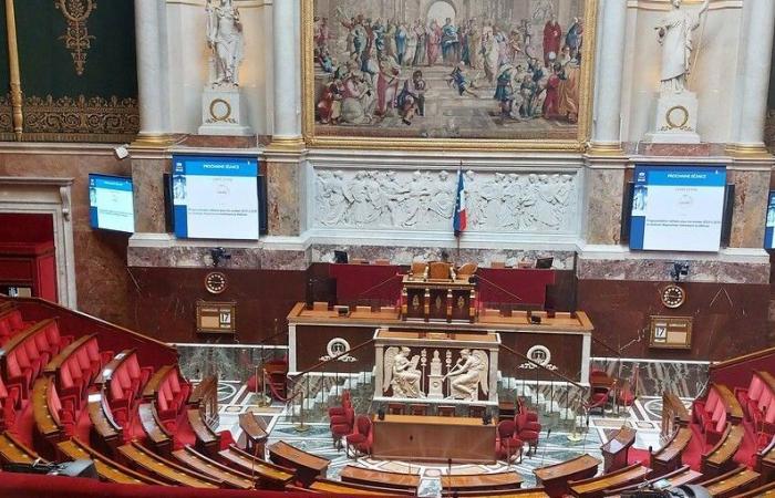 Elecciones legislativas 2024: descubra los 7 candidatos en el distrito electoral de Creuse