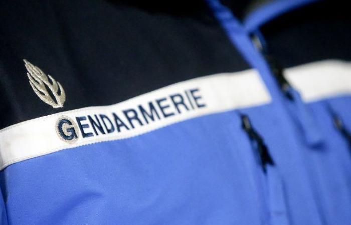 La gendarmería nacional lanza una convocatoria de testigos tras una serie de estafas en Vaucluse