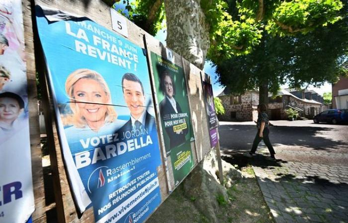 Alto Loira: la Agrupación Nacional ha nominado a sus dos candidatos para las elecciones legislativas anticipadas