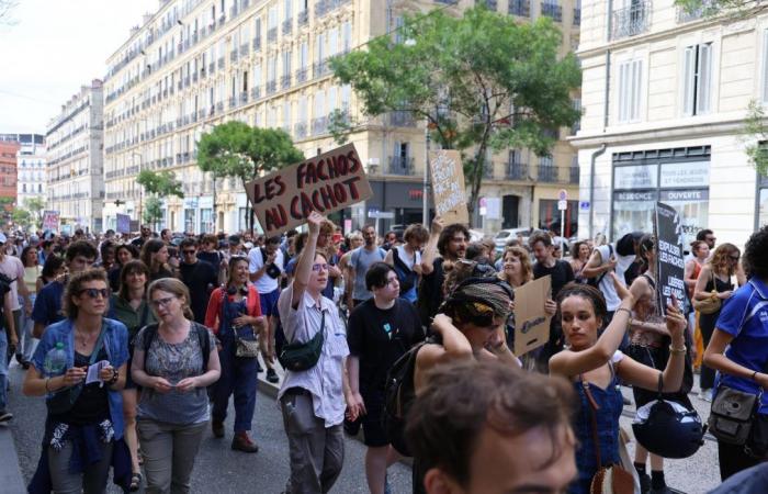 Varios cientos de miles de opositores de extrema derecha marcharon en Francia el sábado…