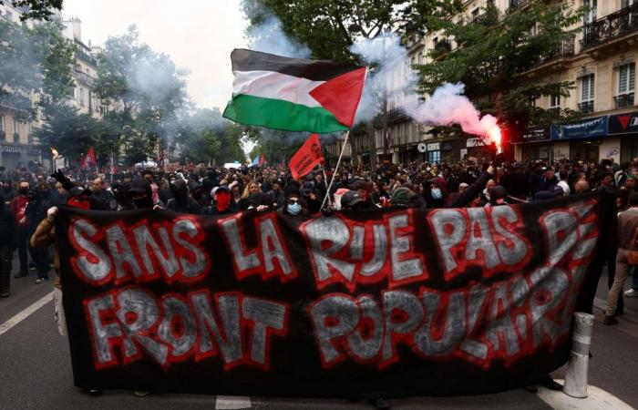 Manifestante contra la “extrema derecha” regaña al Nuevo Frente Popular por calificar de “terroristas” los ataques de Hamás