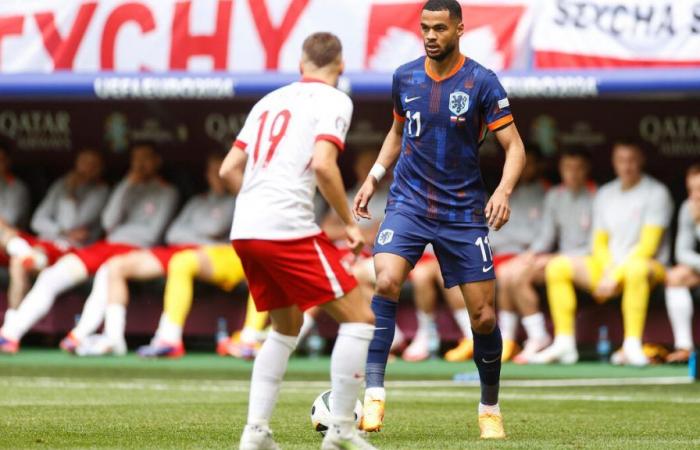 DIRECTO. Polonia – Países Bajos (1-1): la Oranje empata gracias a Gakpo