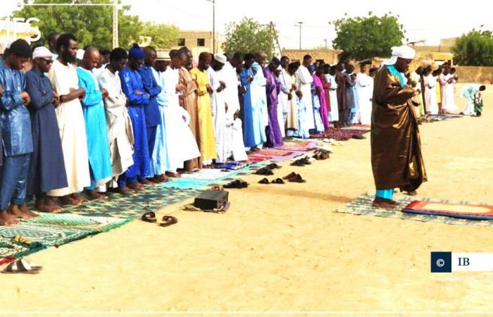 SENEGAL-TABASKI-CONMEMORACIÓN / En Podor, los fieles rezan por la paz y la armonía nacional – agencia de prensa senegalesa