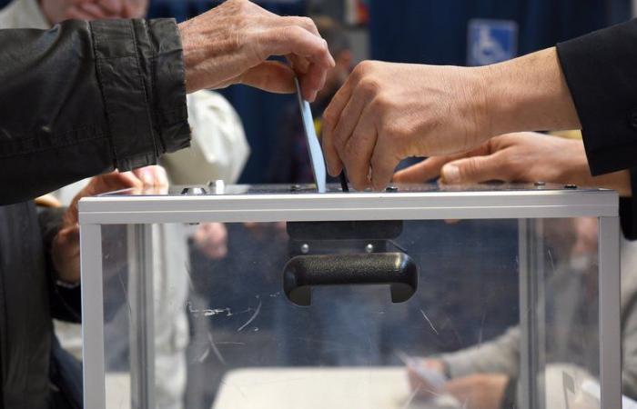 Elecciones legislativas de 2024 en Tarn: diecinueve candidatos para tres escaños