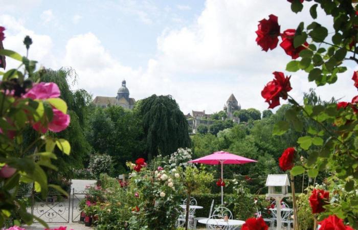 Sena y Marne: perdida entre rosas, esta terraza con impresionantes vistas encantará su verano