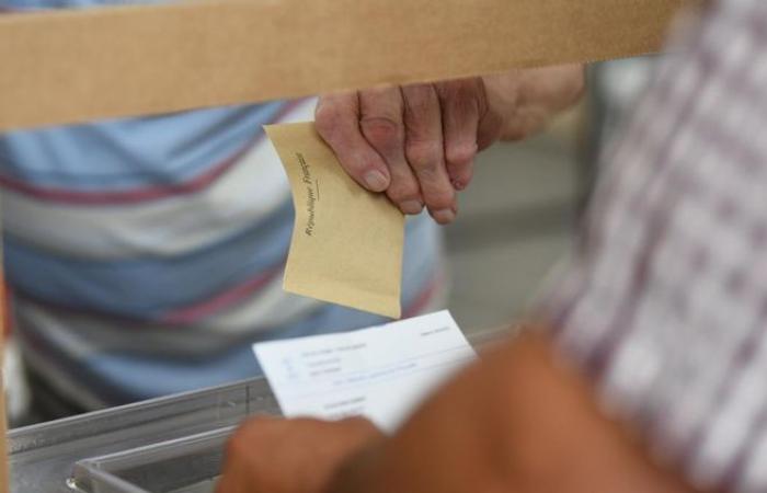 ¿Quiénes son los 20 candidatos a las elecciones legislativas en los distritos electorales de Yonne?