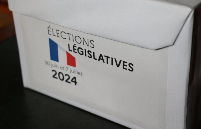 Elecciones legislativas de 2024 en el Gers: descubra los nombres de los candidatos de su circunscripción
